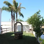 Girasoli * Галлиполи
